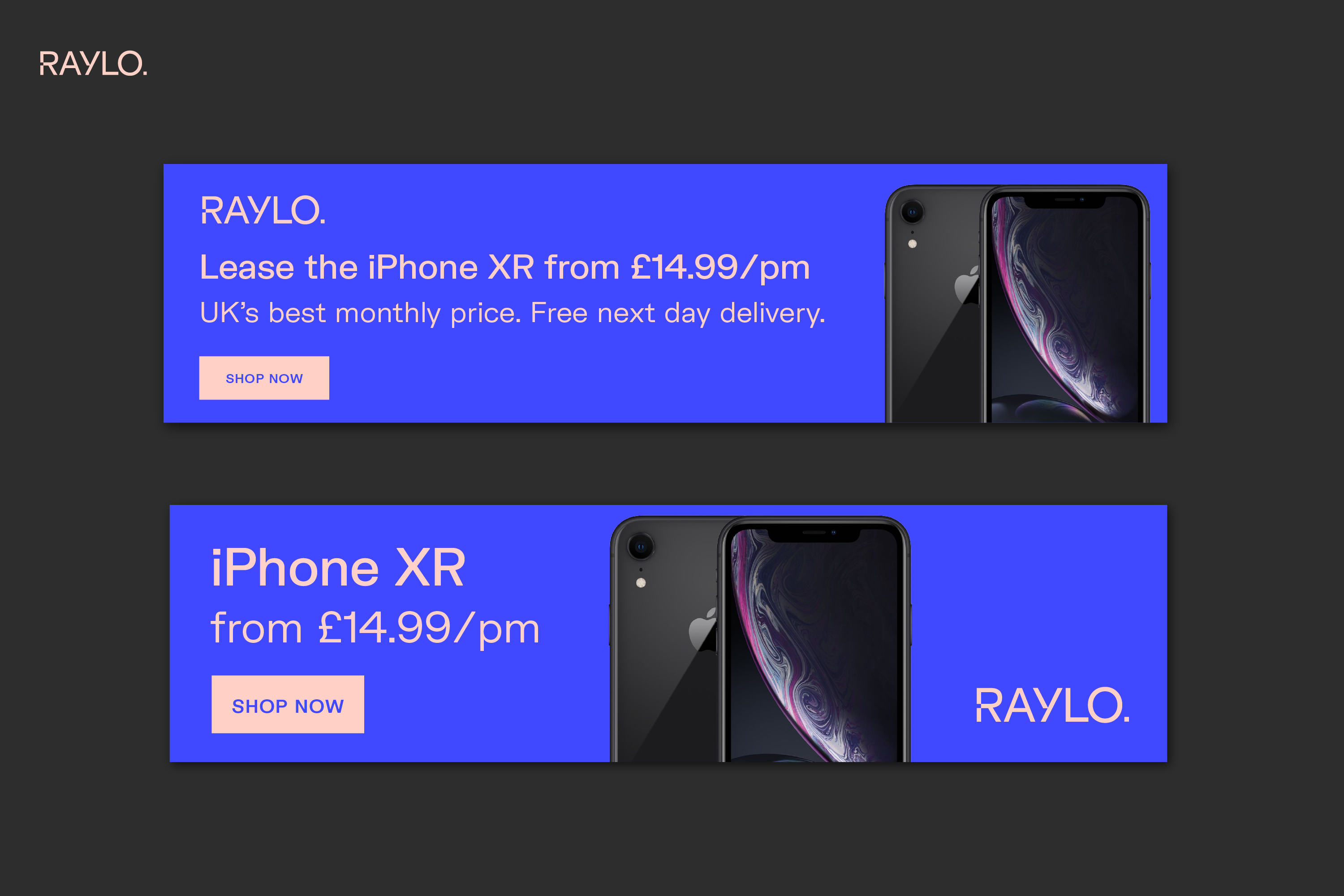 Raylo web banner design